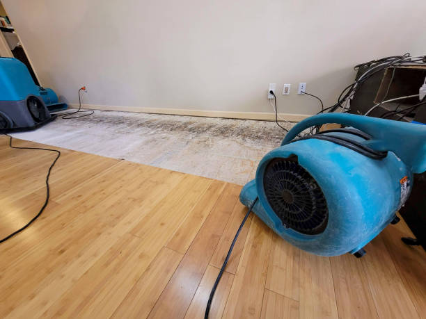 Professional Flood Damage Cleanup technician working in Stanton, TN
